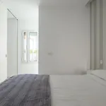 Farovela