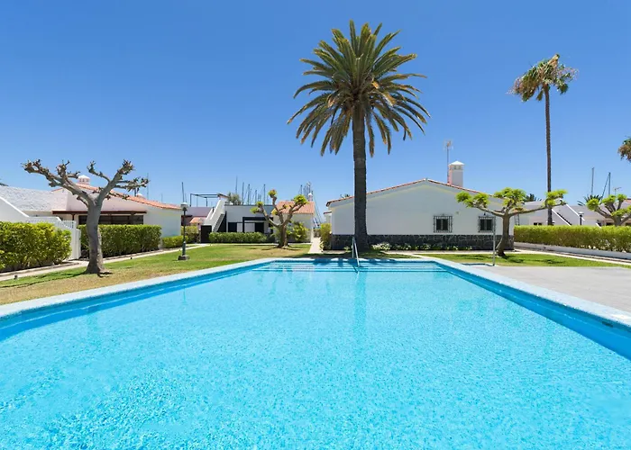 Farovela Pasito Blanco