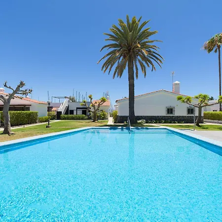 Farovela Pasito Blanco